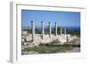 Sanctuary of Apollo Hylates, Kourion, Cyprus, 2001-Vivienne Sharp-Framed Photographic Print