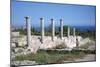 Sanctuary of Apollo Hylates, Kourion, Cyprus, 2001-Vivienne Sharp-Mounted Photographic Print