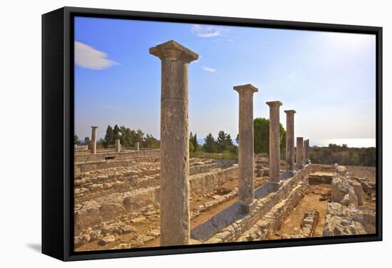 Sanctuary of Apollo Yiatis, Kourion, UNESCO World Heritage Site, Cyprus, Eastern Mediterranean-Neil Farrin-Framed Stretched Canvas