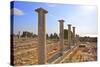 Sanctuary of Apollo Yiatis, Kourion, UNESCO World Heritage Site, Cyprus, Eastern Mediterranean-Neil Farrin-Stretched Canvas