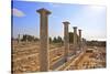 Sanctuary of Apollo Yiatis, Kourion, UNESCO World Heritage Site, Cyprus, Eastern Mediterranean-Neil Farrin-Stretched Canvas