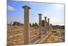 Sanctuary of Apollo Yiatis, Kourion, UNESCO World Heritage Site, Cyprus, Eastern Mediterranean-Neil Farrin-Mounted Photographic Print