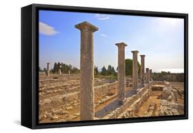 Sanctuary of Apollo Yiatis, Kourion, UNESCO World Heritage Site, Cyprus, Eastern Mediterranean-Neil Farrin-Framed Stretched Canvas