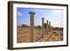 Sanctuary of Apollo Yiatis, Kourion, UNESCO World Heritage Site, Cyprus, Eastern Mediterranean-Neil Farrin-Framed Photographic Print