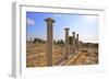 Sanctuary of Apollo Yiatis, Kourion, UNESCO World Heritage Site, Cyprus, Eastern Mediterranean-Neil Farrin-Framed Photographic Print
