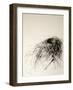 Sanctuary-Kris Ekstrand-Framed Art Print