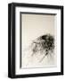 Sanctuary-Kris Ekstrand-Framed Art Print