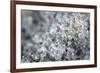 Sand and all of it's Colors in Macro View-null-Framed Photo