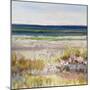 Sand and Sea-Libby Smart-Mounted Art Print