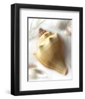 Sand and Shell VI-Donna Geissler-Framed Art Print
