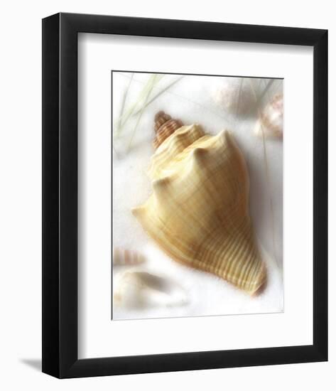 Sand and Shell VI-Donna Geissler-Framed Art Print