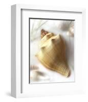 Sand and Shell VI-Donna Geissler-Framed Art Print