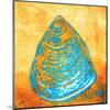 Sand And Shell-null-Mounted Art Print