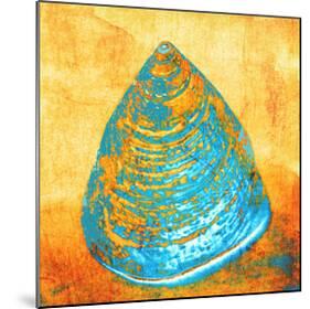 Sand And Shell-null-Mounted Art Print