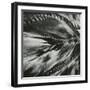 Sand and Water, c. 1965-Brett Weston-Framed Photographic Print