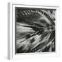 Sand and Water, c. 1965-Brett Weston-Framed Photographic Print