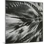 Sand and Water, c. 1965-Brett Weston-Mounted Photographic Print