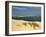 Sand Banks, Motor and Sailing Boats, Bay of Arcachon, Cote D'Argent, Gironde, Aquitaine, France-Groenendijk Peter-Framed Photographic Print