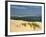 Sand Banks, Motor and Sailing Boats, Bay of Arcachon, Cote D'Argent, Gironde, Aquitaine, France-Groenendijk Peter-Framed Photographic Print