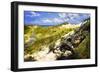 Sand Bay Beach I-Alan Hausenflock-Framed Photographic Print