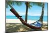 Sand Beach Hammock Palm Trees-null-Mounted Art Print