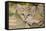 Sand Cat-null-Framed Stretched Canvas