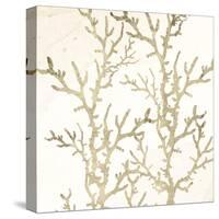 Sand Coral 1-Kimberly Allen-Stretched Canvas