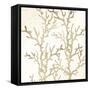 Sand Coral 1-Kimberly Allen-Framed Stretched Canvas