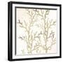 Sand Coral 1-Kimberly Allen-Framed Art Print