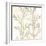 Sand Coral 1-Kimberly Allen-Framed Art Print