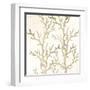 Sand Coral 1-Kimberly Allen-Framed Art Print