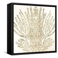 Sand Coral 2-Kimberly Allen-Framed Stretched Canvas