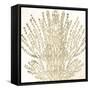 Sand Coral 2-Kimberly Allen-Framed Stretched Canvas