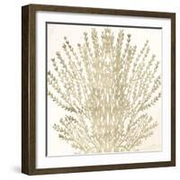 Sand Coral 2-Kimberly Allen-Framed Art Print