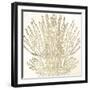 Sand Coral 2-Kimberly Allen-Framed Art Print