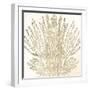 Sand Coral 2-Kimberly Allen-Framed Art Print
