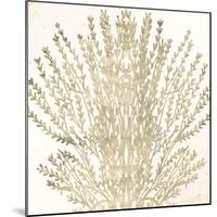 Sand Coral 2-Kimberly Allen-Mounted Art Print