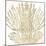 Sand Coral 2-Kimberly Allen-Mounted Art Print