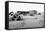 Sand covered farm at Mills, New Mexico, 1935-Dorothea Lange-Framed Stretched Canvas