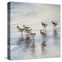 Sand Dancers Square-Bruce Nawrocke-Stretched Canvas