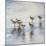 Sand Dancers Square-Bruce Nawrocke-Mounted Art Print