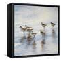 Sand Dancers Square-Bruce Nawrocke-Framed Stretched Canvas