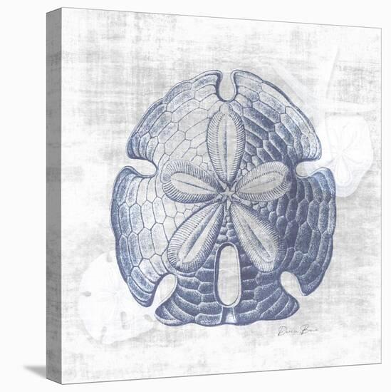 Sand Dollar 1 v2-Denise Brown-Stretched Canvas