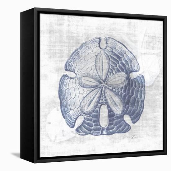 Sand Dollar 1 v2-Denise Brown-Framed Stretched Canvas