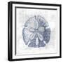 Sand Dollar 1 v2-Denise Brown-Framed Art Print