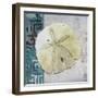 Sand Dollar 1-Megan Aroon Duncanson-Framed Giclee Print