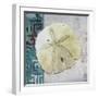 Sand Dollar 1-Megan Aroon Duncanson-Framed Giclee Print