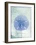 Sand Dollar B-GI ArtLab-Framed Giclee Print