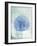 Sand Dollar B-GI ArtLab-Framed Giclee Print