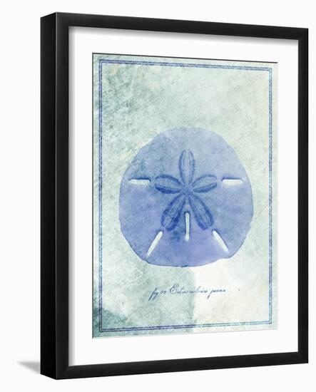 Sand Dollar B-GI ArtLab-Framed Giclee Print